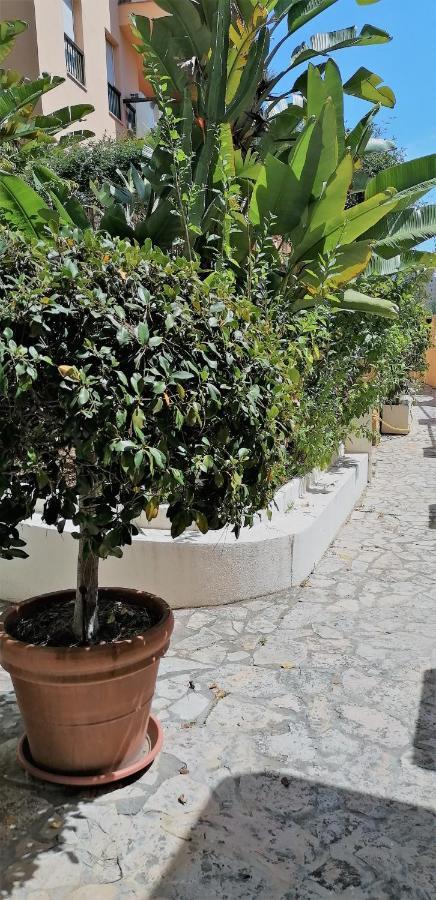 Beach & Golf Design Apartment Marbella Eksteriør billede